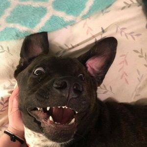 Meet your Posher, Cody